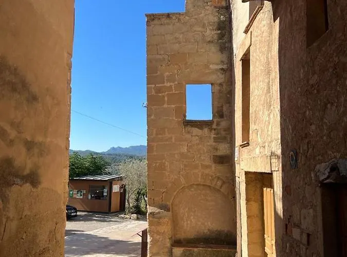 El Brollador